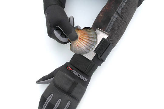 Wrist Scallop Measure